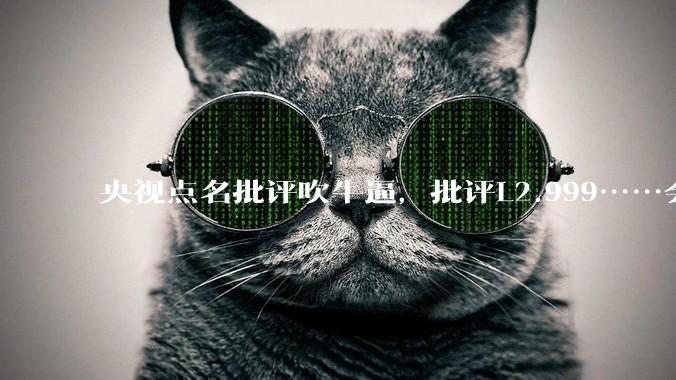 央视点名批评吹牛逼,批评L2.999……会被某法务部起诉吗?