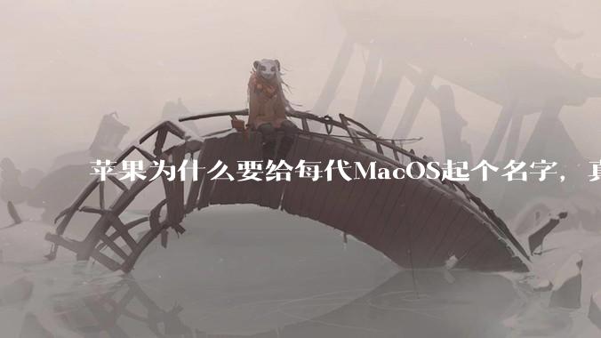 苹果为什么要给每代MacOS起个名字,真以为人们记得住分得清吗?