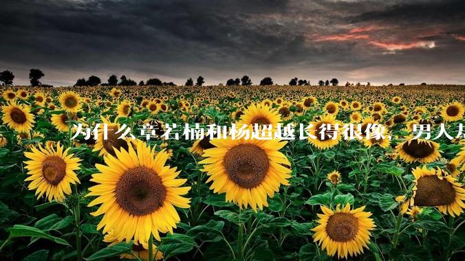 为什么章若楠和杨超越长得很像,男人却更喜欢章若楠,认为有女人味,而觉得杨超越像小女孩?