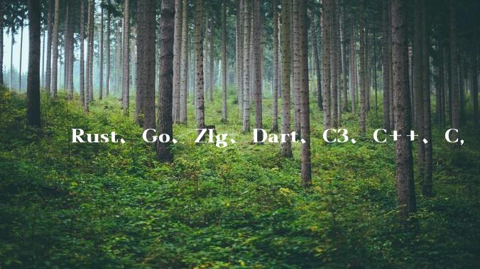 Rust、Go、Zig、Dart、C3、C++、C,仓颉、moonbit、凹语言哪个语言更有未来?