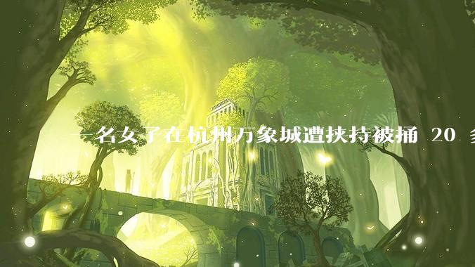 一名女子在杭州万象城遭挟持被捅 20 多刀,隆胸***体救了一命,这反映出哪些公安系统的问题?