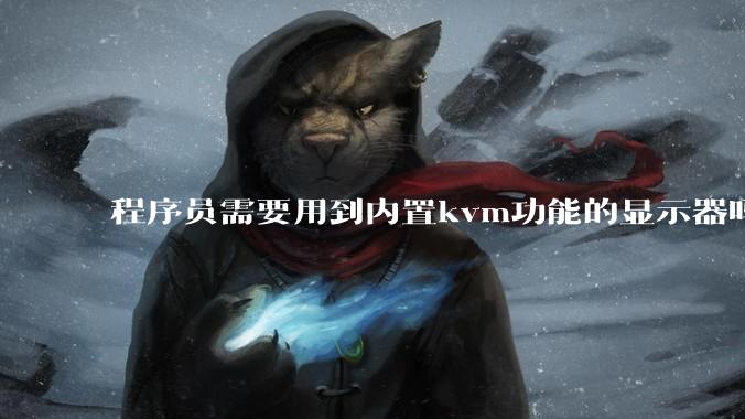 程序员需要用到内置kvm功能的显示器吗?或者是外置的kvm切换器吗?