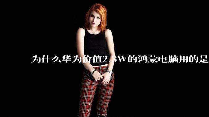为什么华为价值2.3W的鸿蒙电脑用的是美国西数的SN740固态硬盘?
